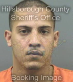 Medina Andrew - Hillsborough County, Florida 