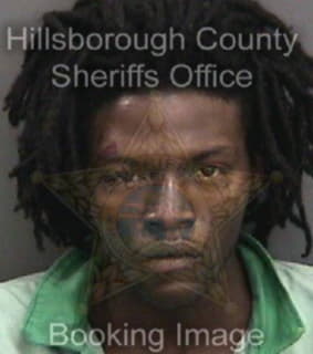 Anderson Gregory - Hillsborough County, Florida 