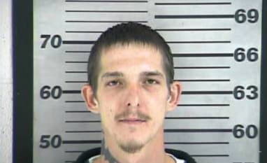 Jackson James - Dyer County, Tennessee 