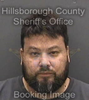 Ortiz Paul - Hillsborough County, Florida 