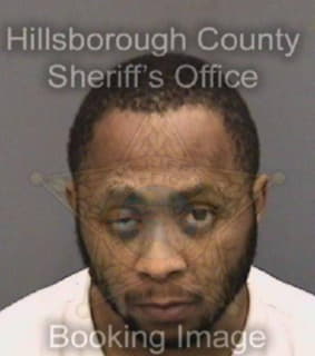 Williams Jamal - Hillsborough County, Florida 