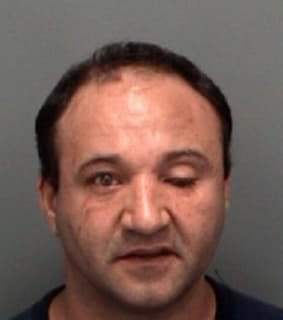 Ruiz Manuel - Pinellas County, Florida 