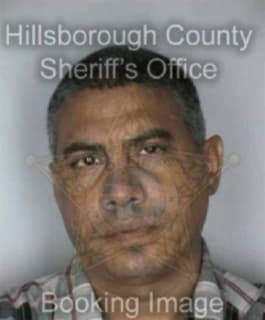 Martinez Ramon - Hillsborough County, Florida 