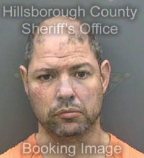 Martins Carlos - Hillsborough County, Florida 