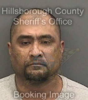 Cruz Leonel - Hillsborough County, Florida 