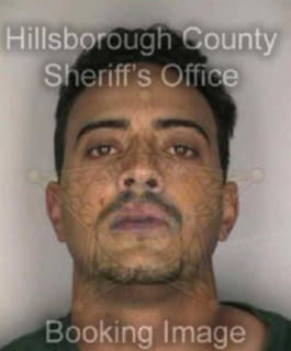 Perez Rafael - Hillsborough County, Florida 