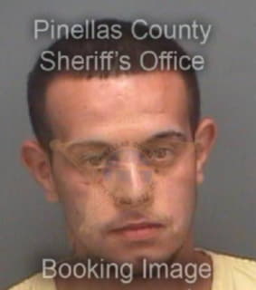 Gonzalez William - Pinellas County, Florida 