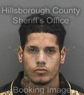 Blanco-Romero Adrian - Hillsborough County, Florida 