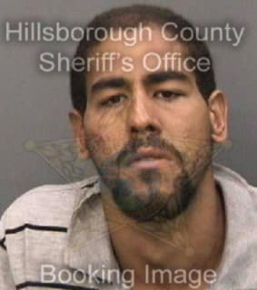 Ruiz Christian - Hillsborough County, Florida 