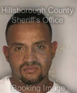 Martinez Edward - Hillsborough County, Florida 