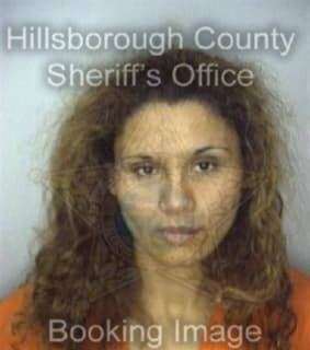 Rocha Elvira - Hillsborough County, Florida 