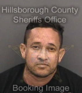 Ruiz Jose - Hillsborough County, Florida 