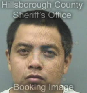 Mendoza Salvador - Hillsborough County, Florida 