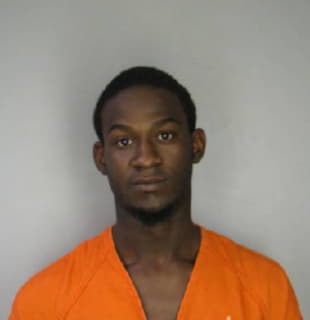 Ware Derrick - Hillsborough County, Florida 