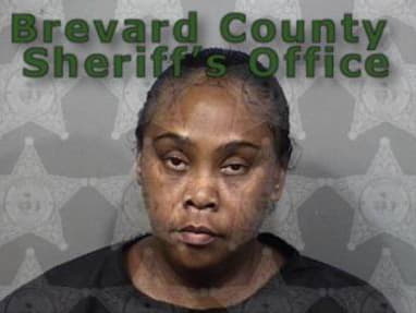 Mcintyre Donna - Brevard County, Florida 