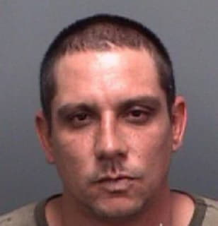 Greenlee John - Pinellas County, Florida 