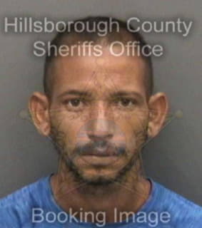 Dejesus Ramon - Hillsborough County, Florida 