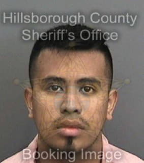 Lazaro Adolfo - Hillsborough County, Florida 