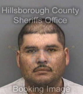 Lorenzana Bernardo - Hillsborough County, Florida 