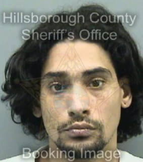 Perez Daniel - Hillsborough County, Florida 