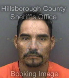 Antonio Fontino - Hillsborough County, Florida 