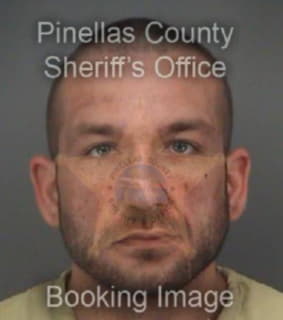 Mott Ryan - Pinellas County, Florida 