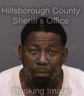 Dixon Shawn - Hillsborough County, Florida 