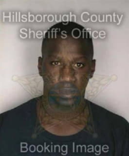 Lee Vincent - Hillsborough County, Florida 