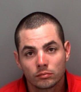 Colon Anthony - Pinellas County, Florida 