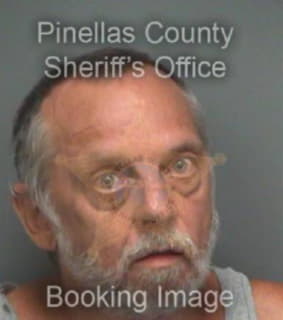 Wilson David - Pinellas County, Florida 