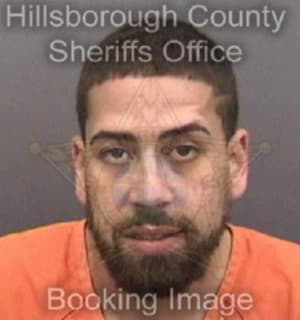 Ortiz Neftali - Hillsborough County, Florida 