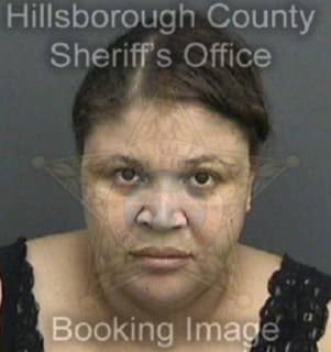 Allen Terri - Hillsborough County, Florida 