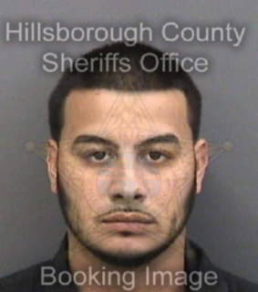 Rivera Anthony - Hillsborough County, Florida 