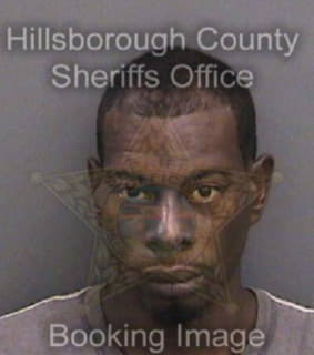 Davis Jaavoda - Hillsborough County, Florida 