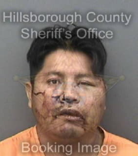 Pedraza-Perez Juan - Hillsborough County, Florida 