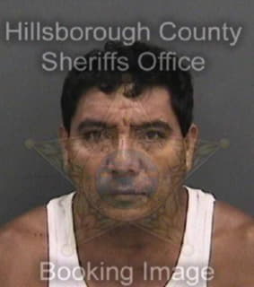 Perez-Amaya Manuel - Hillsborough County, Florida 