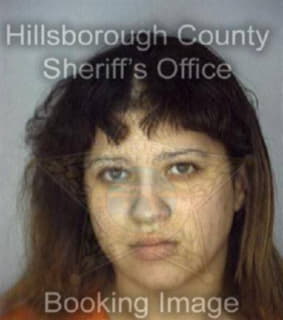 Rivera Vivan - Hillsborough County, Florida 