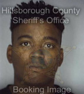 Robinson Bruce - Hillsborough County, Florida 