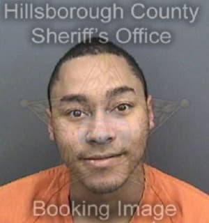 Martin Kristopher - Hillsborough County, Florida 