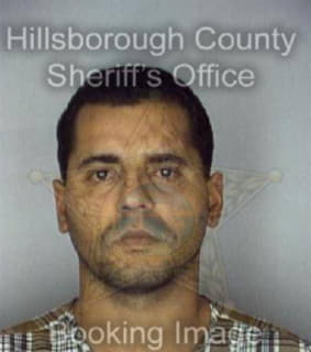 Melendez Luis - Hillsborough County, Florida 