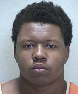 Smith Wayne - Marion County, Florida 