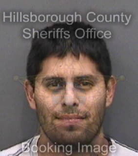 Rodriguez William - Hillsborough County, Florida 