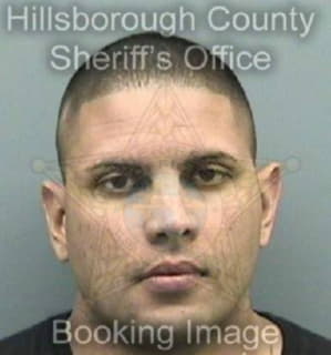 Perez Alex - Hillsborough County, Florida 