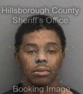 Chandler Demario - Hillsborough County, Florida 