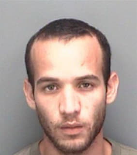 Rivera Luis - Pinellas County, Florida 