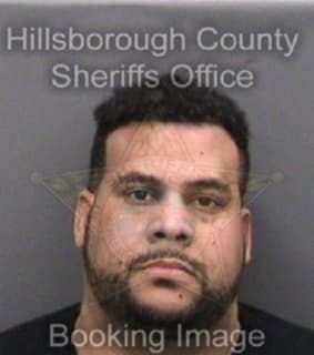 Rodriguez Miguel - Hillsborough County, Florida 