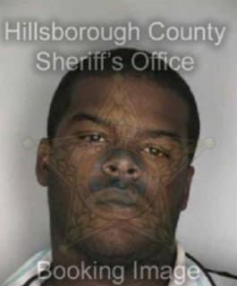 Dixson Queron - Hillsborough County, Florida 