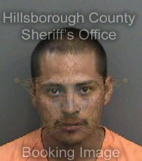 Diaz Sesar - Hillsborough County, Florida 