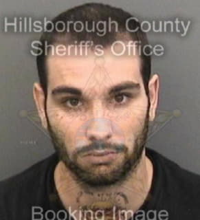 Campos Tyler - Hillsborough County, Florida 