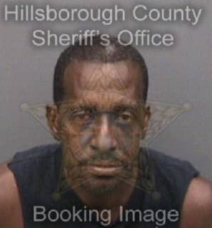 Lawson Darrell - Hillsborough County, Florida 